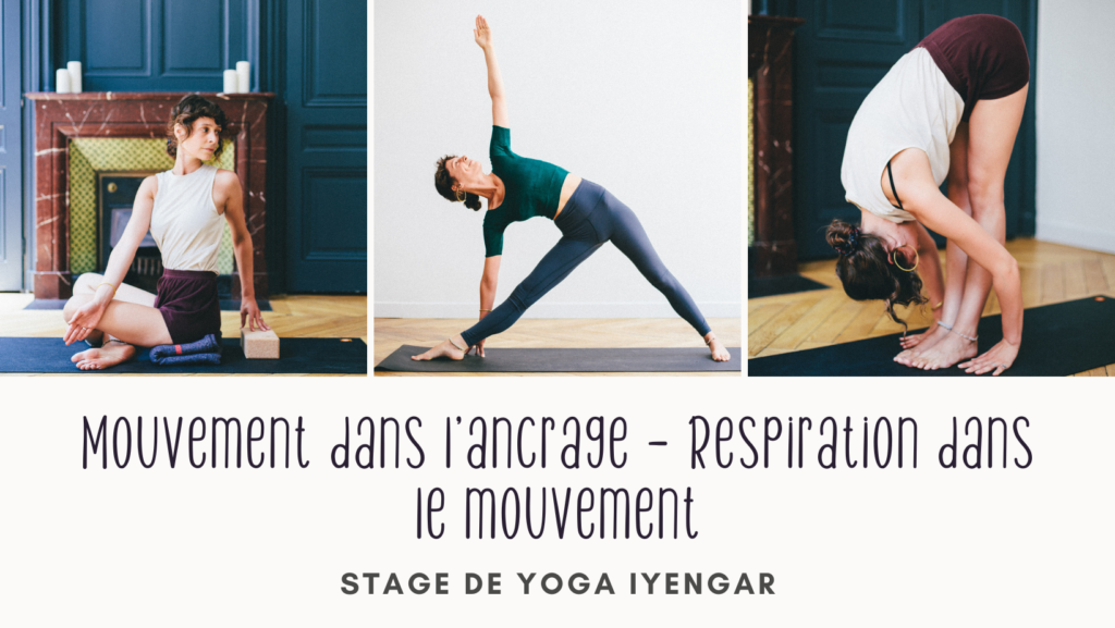 Events pour newsletter site stage yoga iyengar lyon