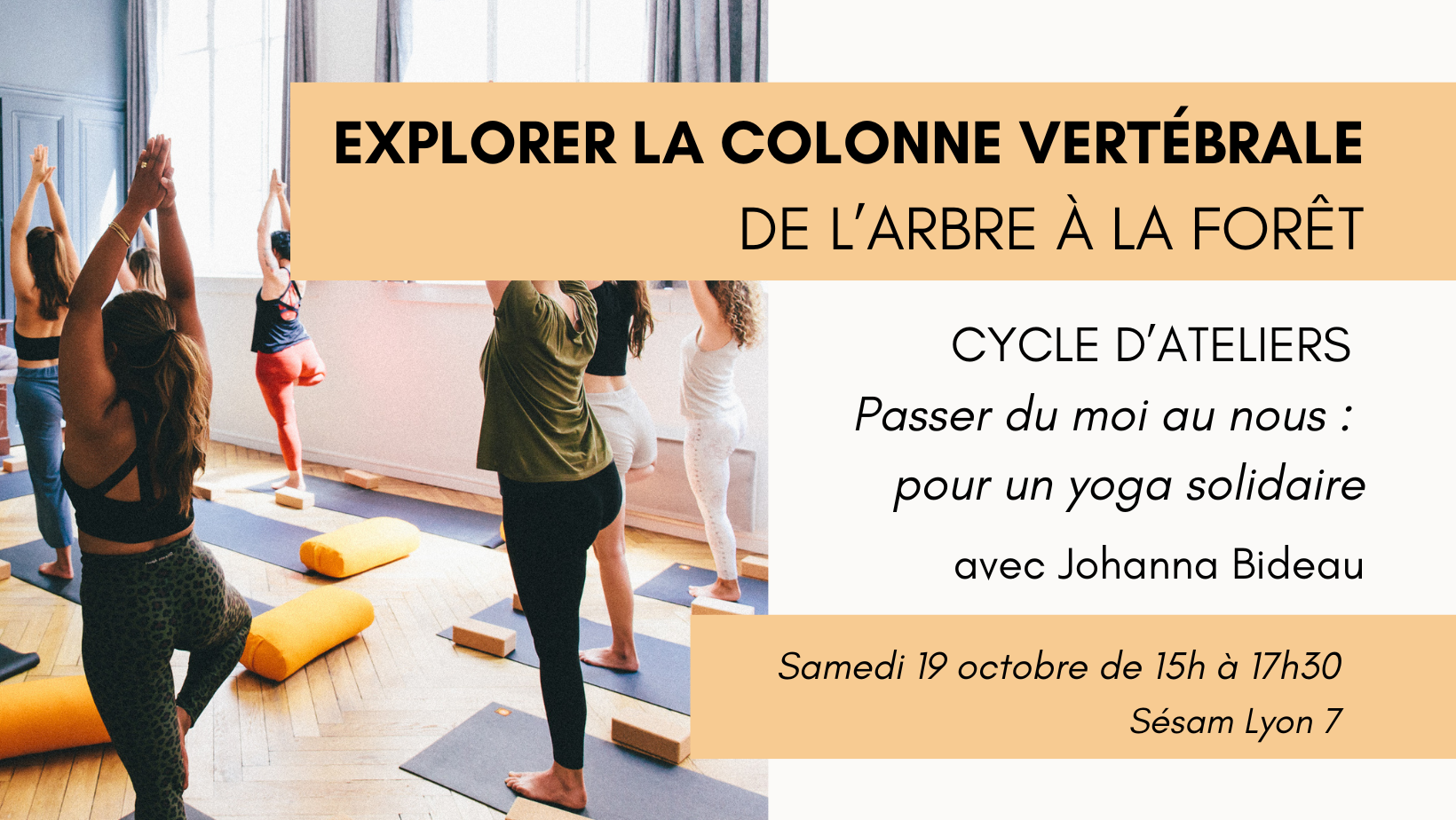 atelier yoga Lyon explorer colonne vertebrale